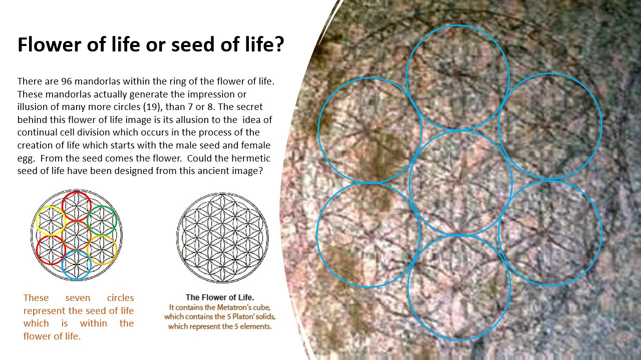 Flower of Life or Seed of Life?