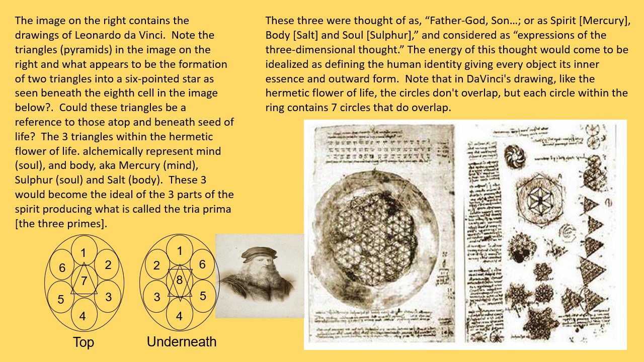 The hermetic V.P. as a single cell, top and bottom.