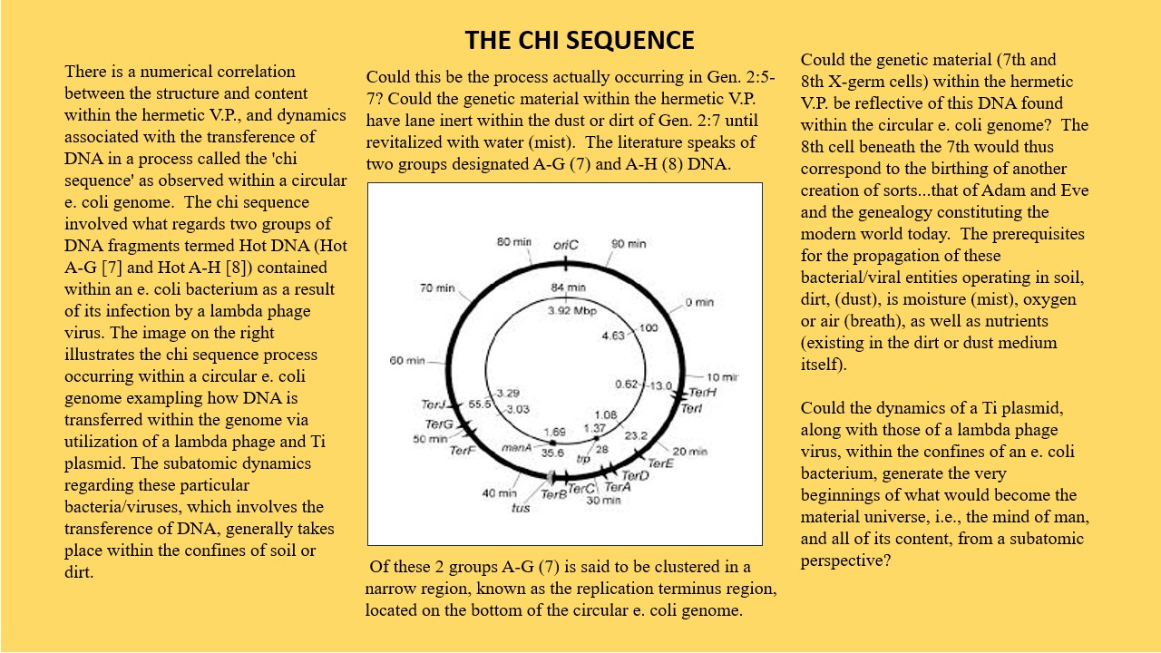 Chi Sequence.  Hot DNA A-G (7) and A-H (8).  Lambda phage, Ti-Plasmid, e. coli bacterium