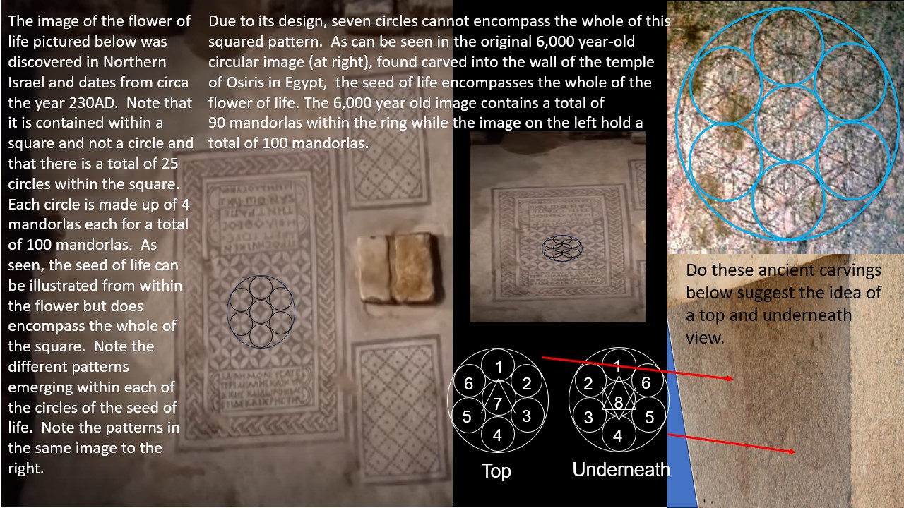 Flower of life/seed of life on wall at temple of Osiris